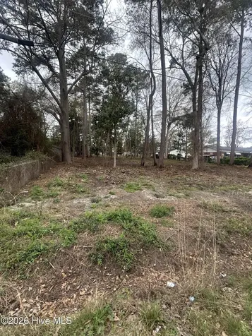 205 Nancy Drive Dudley NC 28333