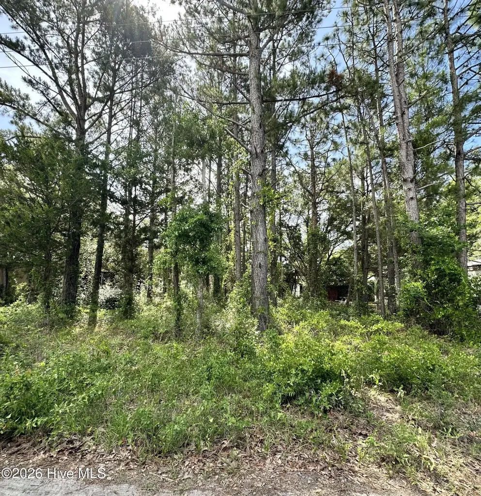2983 Canna Place SW Shallotte NC 28470