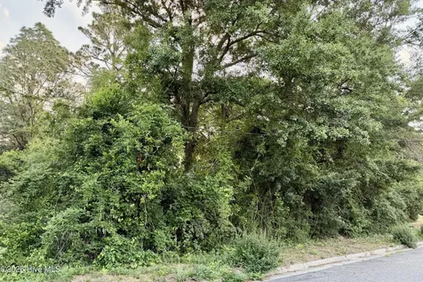 8 Oak Avenue Hamlet NC 28345