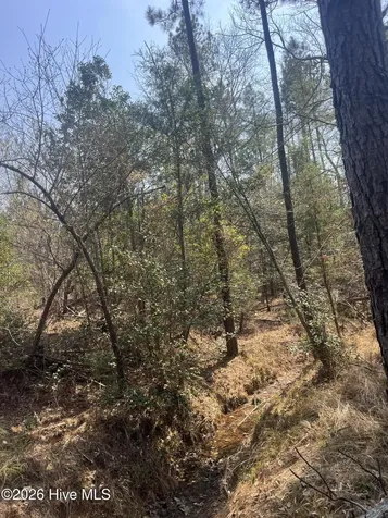 Tbd Healing Acres Lane Carthage NC 28327