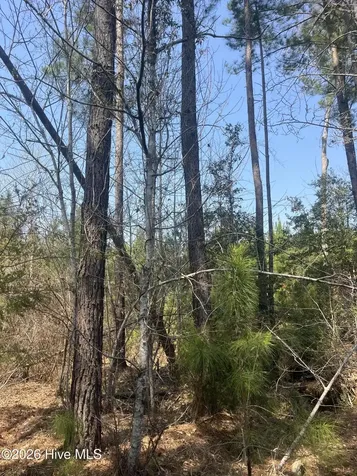 Tbd Healing Acres Lane Carthage NC 28327