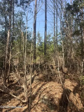Tbd Healing Acres Lane Carthage NC 28327
