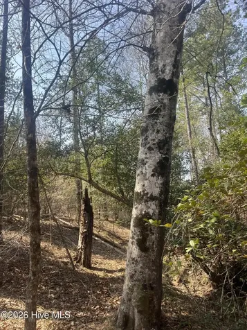 Tbd Healing Acres Lane Carthage NC 28327