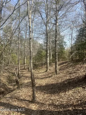Tbd Healing Acres Lane Carthage NC 28327