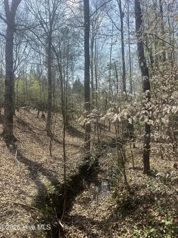 Tbd Healing Acres Lane Carthage NC 28327