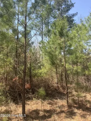 Tbd Healing Acres Lane Carthage NC 28327