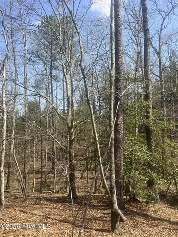 Tbd Healing Acres Lane Carthage NC 28327