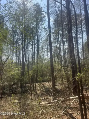 Tbd Healing Acres Lane Carthage NC 28327