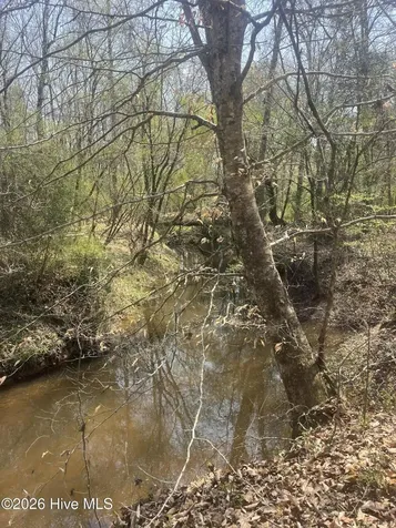 Tbd Healing Acres Lane Carthage NC 28327