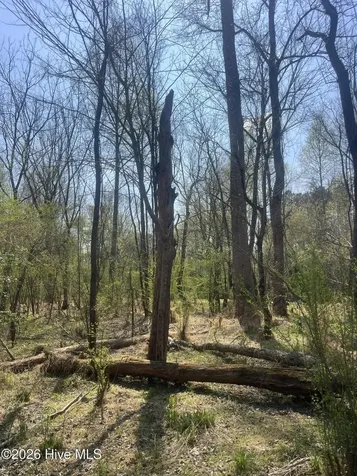 Tbd Healing Acres Lane Carthage NC 28327