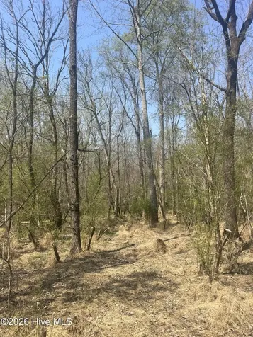 Tbd Healing Acres Lane Carthage NC 28327