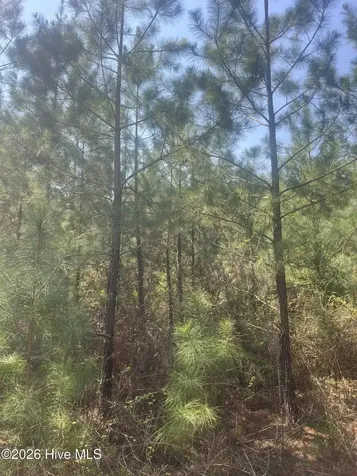 Tbd Healing Acres Lane Carthage NC 28327