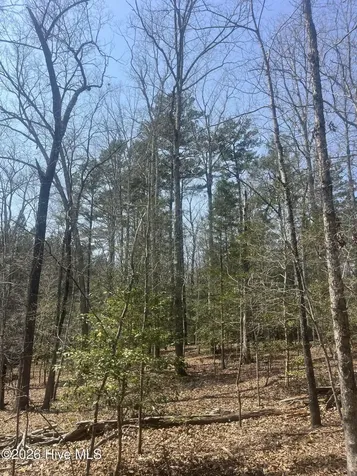 Tbd Healing Acres Lane Carthage NC 28327