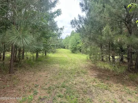 0 Colice Hall Lane Ahoskie NC 27910
