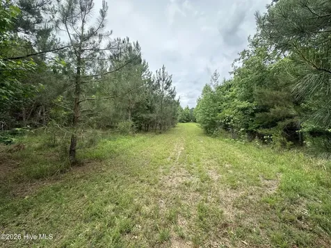 0 Colice Hall Lane Ahoskie NC 27910