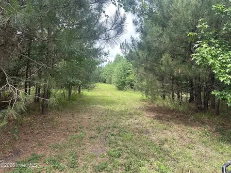 0 Colice Hall Lane Ahoskie NC 27910