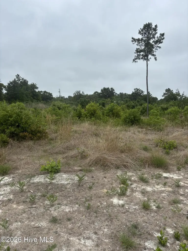 Lot 22 General Lee Lane Clinton NC 28328