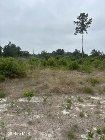 Lot 22 General Lee Lane Clinton NC 28328
