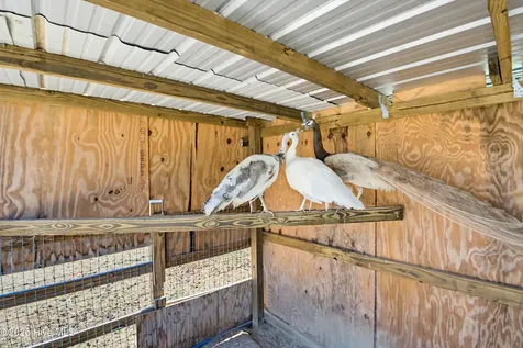 6615 Silver Spoon Road Clarkton NC 28433