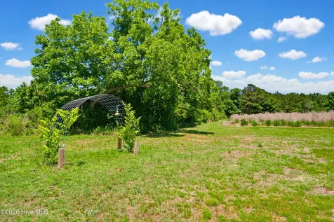 6615 Silver Spoon Road Clarkton NC 28433