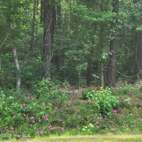 Lot 5-a Porter Road Currie NC 28435