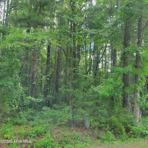 Lot 5-a Porter Road Currie NC 28435