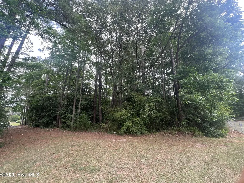 0 Mclamb Street Roseboro NC 28382