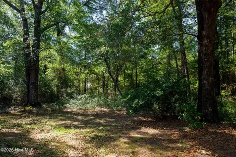 690 Live Oak Methodist Church Road White Oak NC 28399