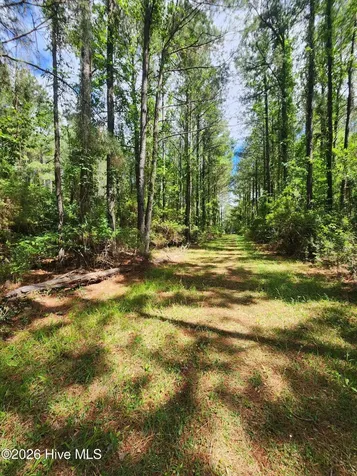 129 Garbacon Drive Beaufort NC 28516