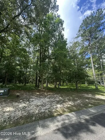 201 Lockhaven Drive SE Bolivia NC 28422