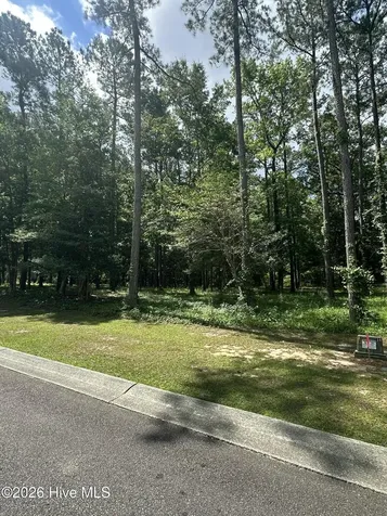 201 Lockhaven Drive SE Bolivia NC 28422