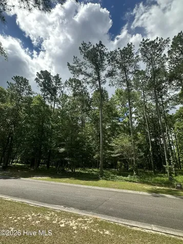 201 Lockhaven Drive SE Bolivia NC 28422