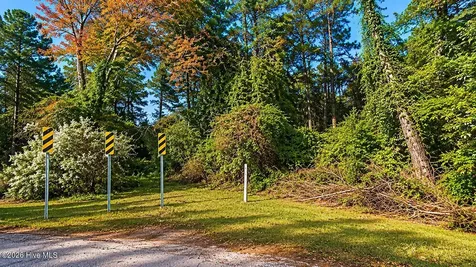 Tbd Linda Lane Burgaw NC 28425