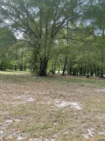 210 Cedar Point Drive Wallace NC 28466