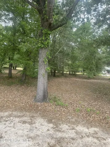 210 Cedar Point Drive Wallace NC 28466
