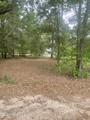 210 Cedar Point Drive Wallace NC 28466