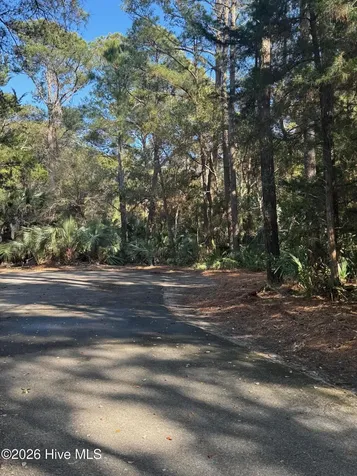 5 Gray Fox Court Bald Head Island NC 28461