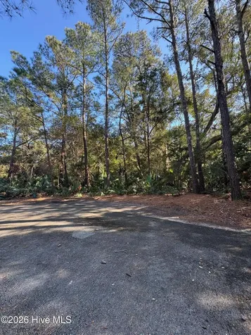 5 Gray Fox Court Bald Head Island NC 28461