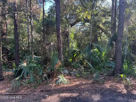 5 Gray Fox Court Bald Head Island NC 28461