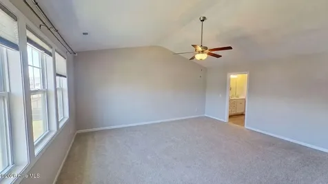 11 Violetear Ridge Hampstead NC 28443