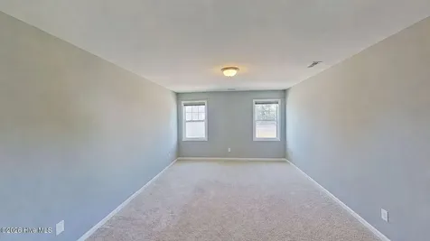 11 Violetear Ridge Hampstead NC 28443