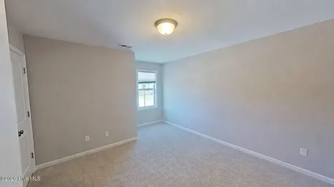 11 Violetear Ridge Hampstead NC 28443