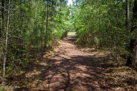1387 Star Grass Way Leland NC 28451