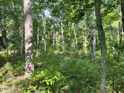 126 Deer Trail Beaufort NC 28516
