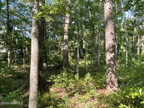 126 Deer Trail Beaufort NC 28516
