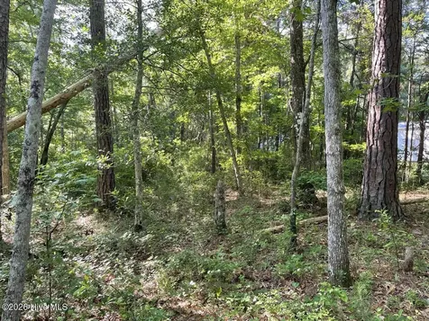 126 Deer Trail Beaufort NC 28516