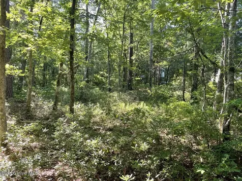 126 Deer Trail Beaufort NC 28516