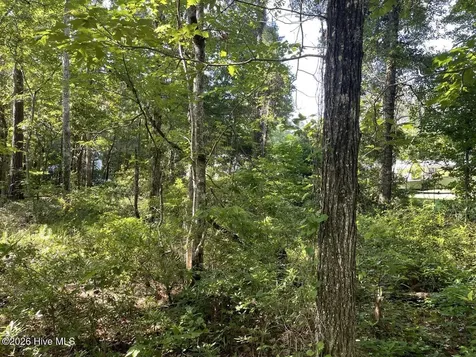 126 Deer Trail Beaufort NC 28516