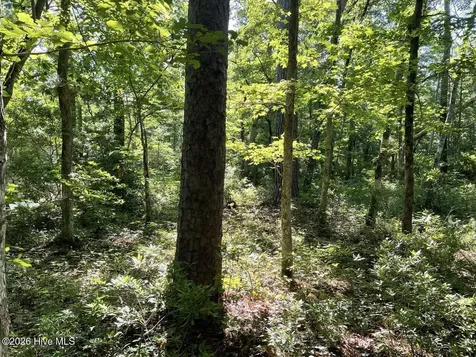 126 Deer Trail Beaufort NC 28516