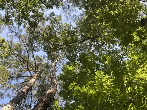 126 Deer Trail Beaufort NC 28516